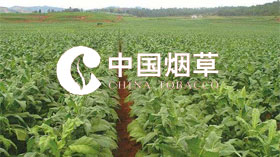 《團體標準在煙農(nóng)專業(yè)合作社的建立與實施》煙草項目成果榮獲省級2019年度科學技術(shù)進步獎二等獎